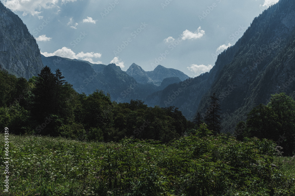 Bavarian Alps