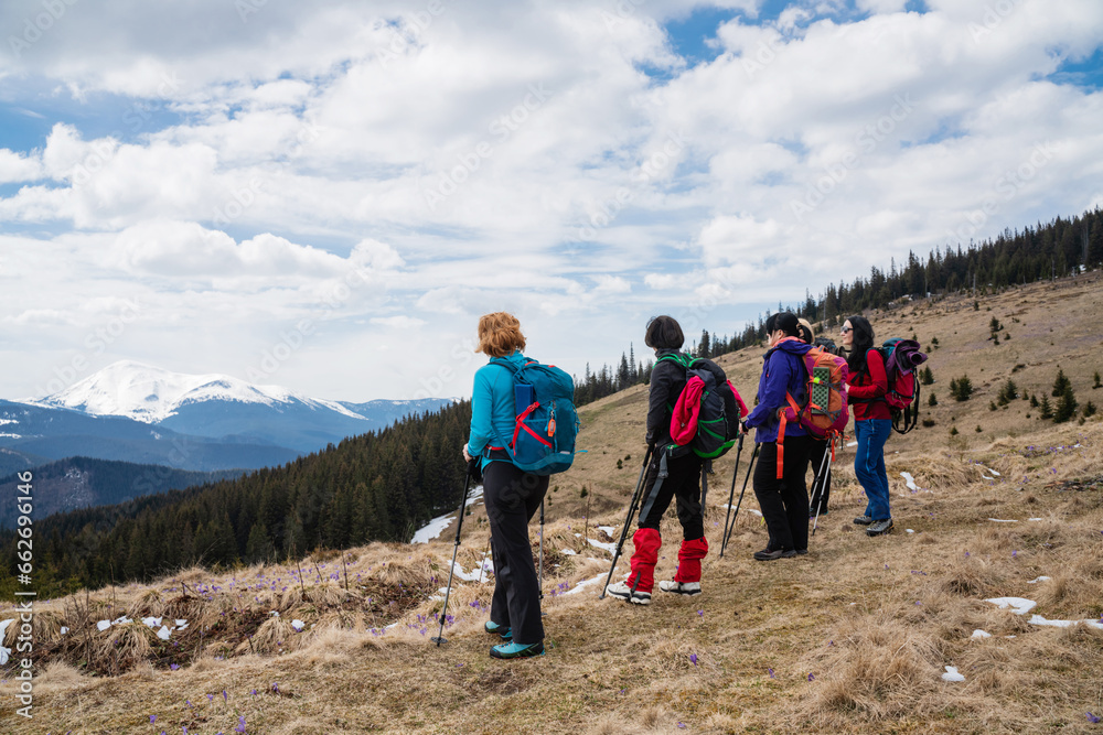 Hikers with backpacks and nordic walking sticks enjoying of mountain landscape