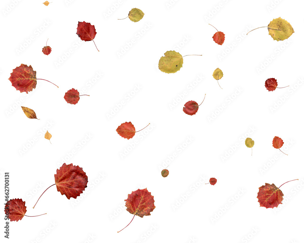 Beautiful autumn leaves. Beautiful autumn leaves.
