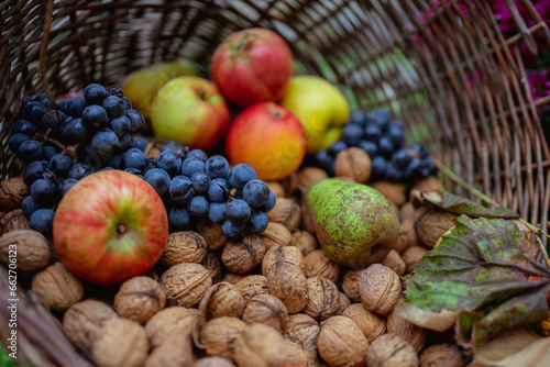 Fototapeta Naklejka Na Ścianę i Meble -  Basket of fruits for Thanksgiving Autumn Season