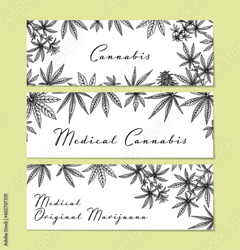 Set of cannabis horizontal designs for packaging, social media posts, store decoration, branding, certificates. Marijuana vector illustration in sketch style. Hemp engraved background