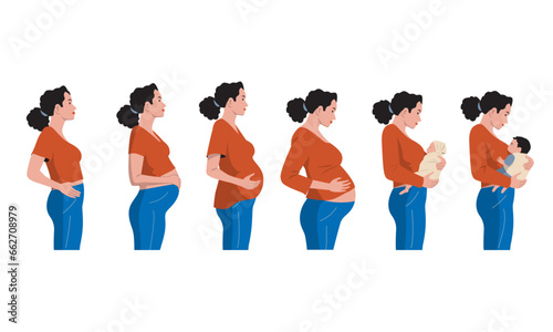 Pregnancy stages. Timeline of pregnancy woman from embryo to newborn baby, cartoon prenatal child development concept. Vector infographic