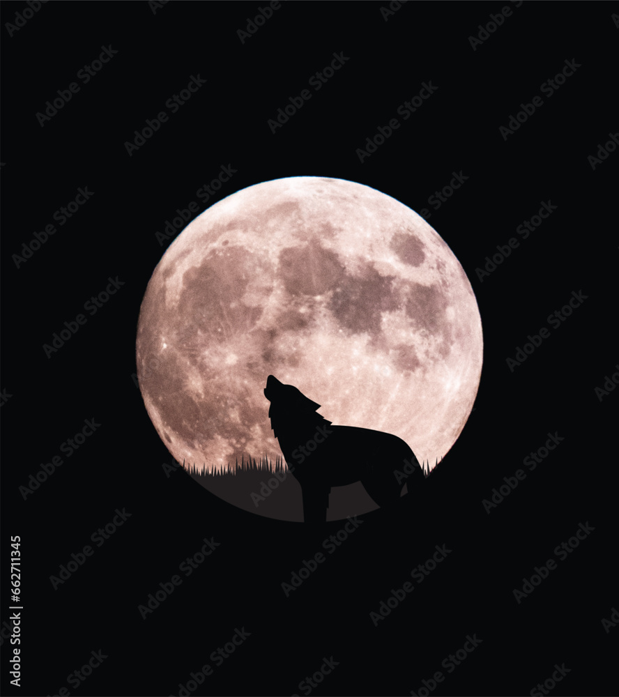 Fototapeta Moon at Night