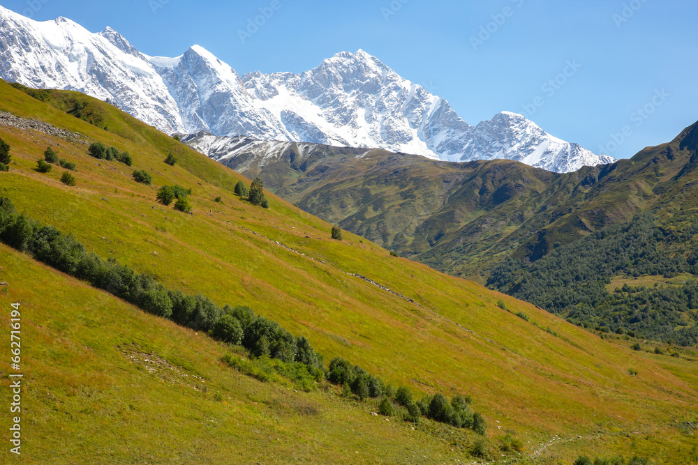 landscape of green grass and snowy mountains. landscape in nature