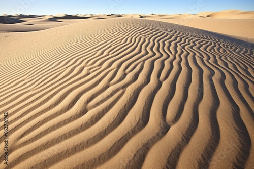 trailed patterns on the sand created by wind erosion