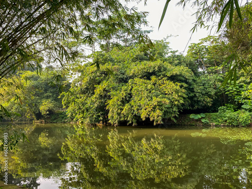  The lake with cloudy brown water surrounded by tree against blue sky.