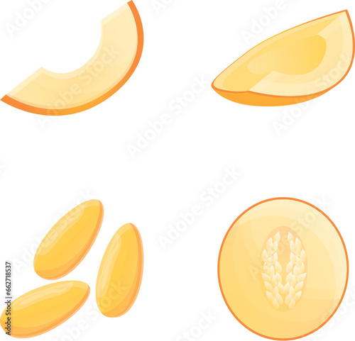Melon icons set cartoon vector. Fresh ripe melon. Vegetable  healthy nutrition