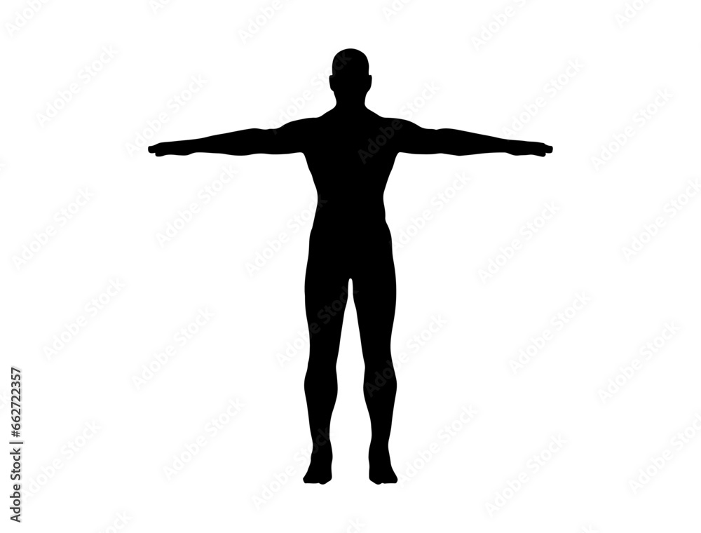 Human body silhouette vector art