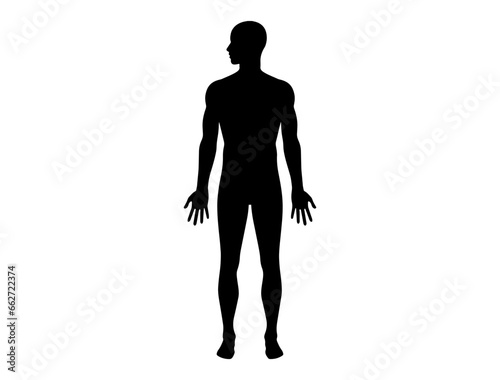 Human body silhouette vector art