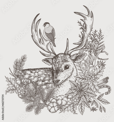 Vector illustration of a Christmas deer in a frame of winter plants in engraving style