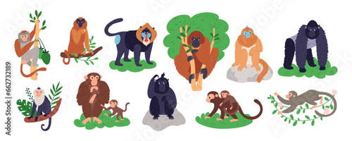 Cartoon monkeys characters. Different breeds primates. Tropical funny mammals. Chimpanzee or baboon. Anthropoids animals. Jungle dwellers. Gorilla and gibbon on branches. Garish vector set