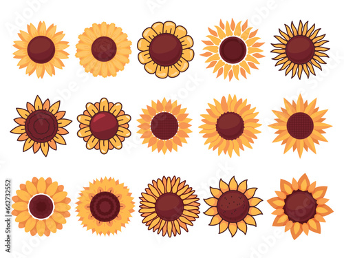 Cartoon sunflowers. Different plant shapes. Yellow flowers. Summer beautiful floral elements. Primitive petals and agriculture seeds. Blossom buds. Circle sunny bloom. Recent vector set