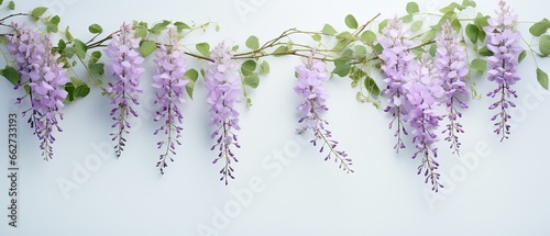 Whimsical soft purple wisteria tendrils gently cascading from the branch arranged on a soft pastel background. 