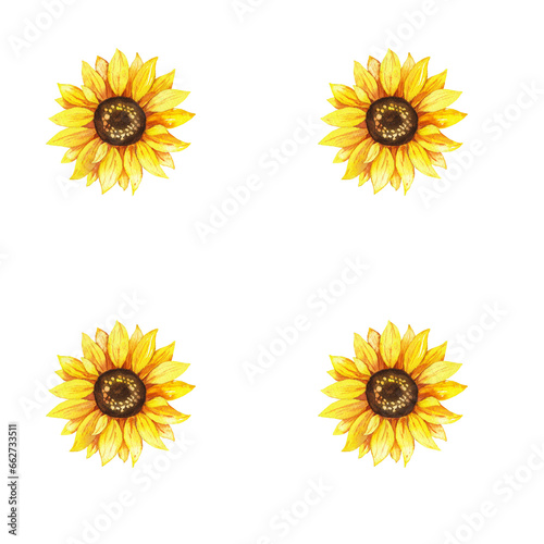 Sunflowers, yellow flowers, floral illustration, seamless pattern