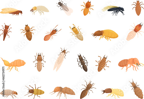 Termite icons set cartoon vector. Nature insect. Soldier pest control