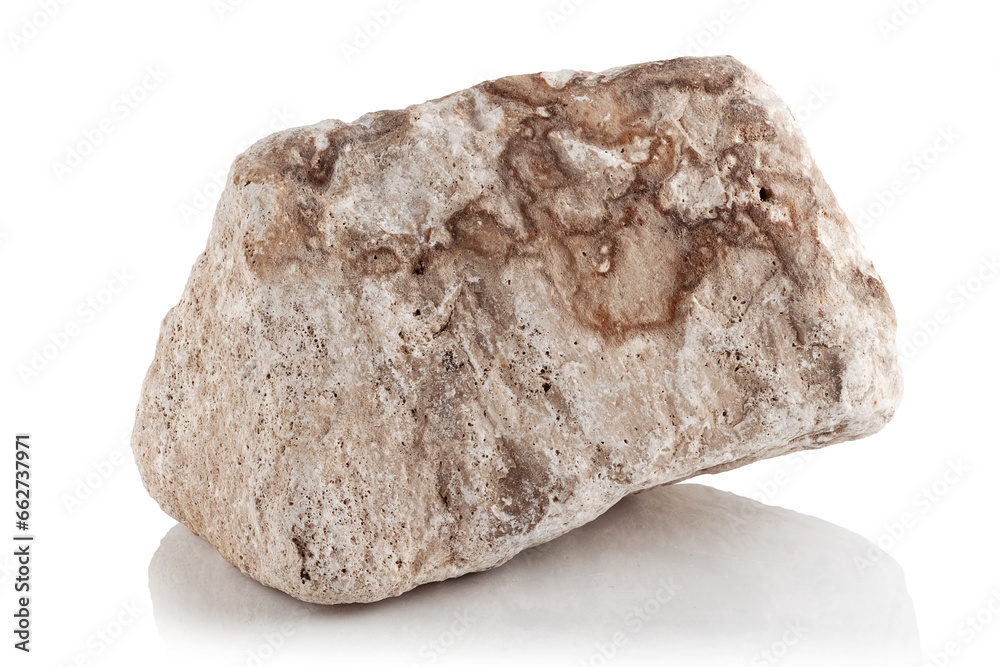 Obraz premium A stone, a fragment of limestone.