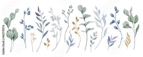 Watercolor vector set of dusty blue twigs and eucalyptus branches.