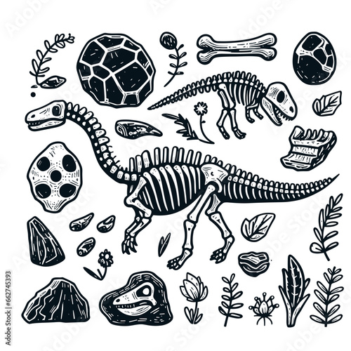 Dinosaur skeleton and fossils. Dinosaur bones, rocks, footprints, plants and eggs. Black and white illustration in childish style