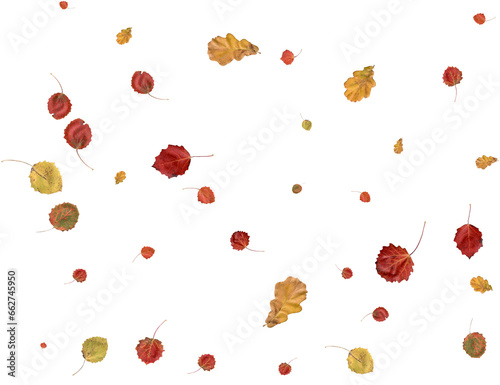 Bright autumn backdrop.