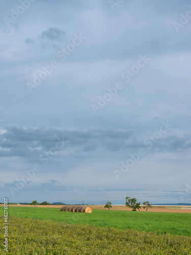 flowers and straw bales in wide open landscape of northern france