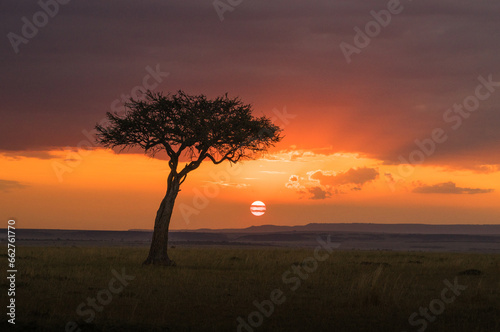 Sunset in Maasai Mara