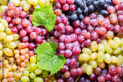 colorful grape as background, top view