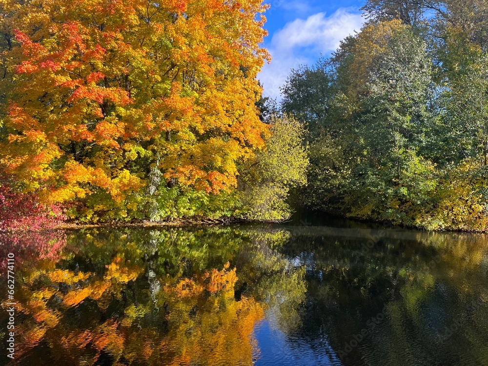 Autumn trees reflection on the pond surface, natural colors of autumn trees