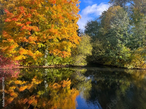 Autumn trees reflection on the pond surface, natural colors of autumn trees © Oksana