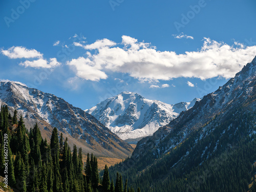 Mountain landscape. A snow-capped peak rises against the background of slopes covered with coniferous forest. Good weather high in the mountains.