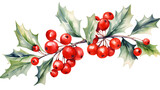 Watercolor Holly - Christmas decoration on transparent background