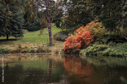 Kolorowe drzewa nad stawem w miejskim parku wczesną jesienią.
