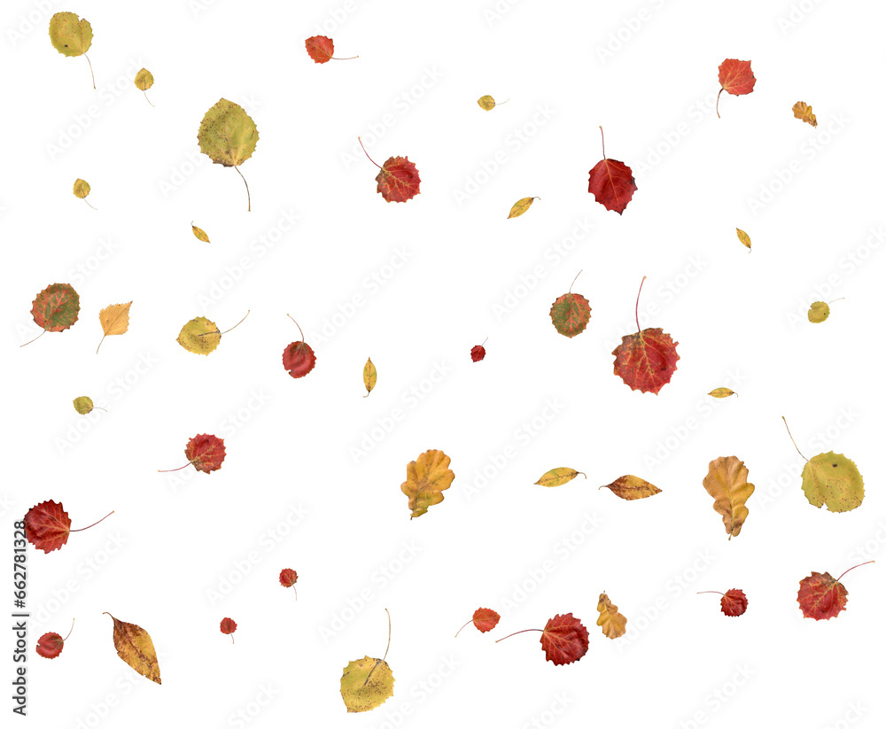 Luxury autumn digital paper. Luxury autumn digital paper.