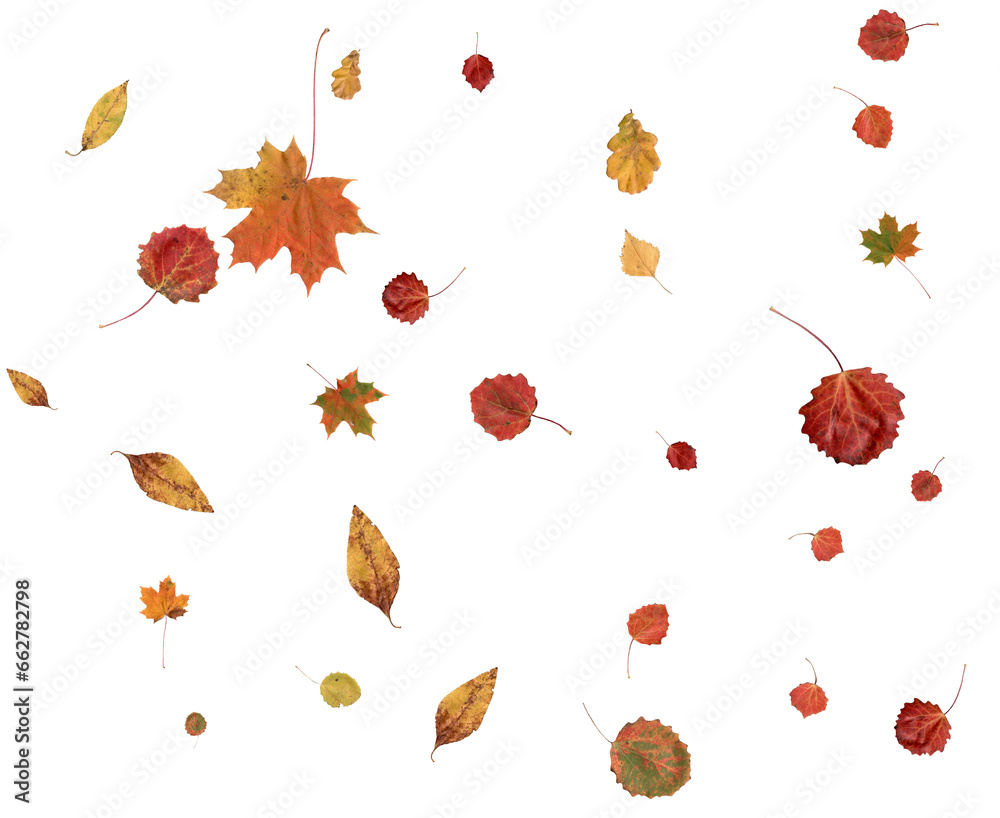 Luxury autumn background. Luxury autumn background.
