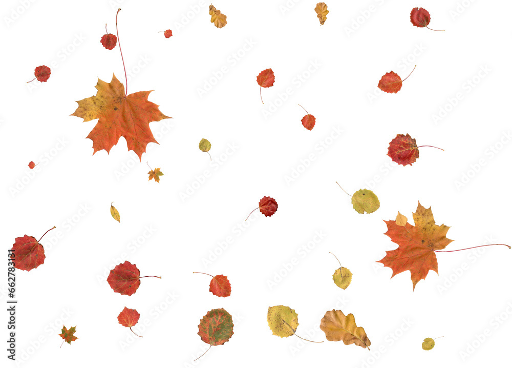 Luxury autumn background. Luxury autumn background.