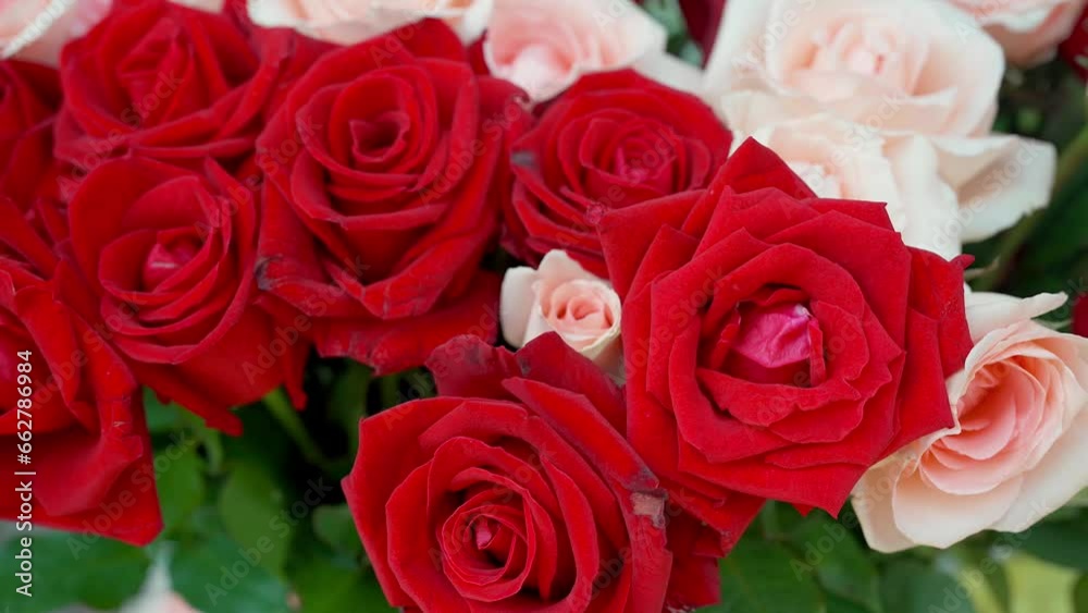 Beautiful blossom rose for sale at market stall. Beautiful blossom rose for sale at market stall.