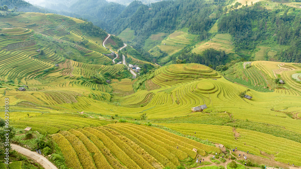 Rice terraces in mountain at Mu Cang Chai, Yen Bai, Viet Nam