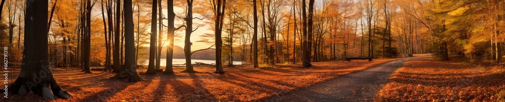 Obraz premium autumn fall foliage and trees with orange leaves in the park.