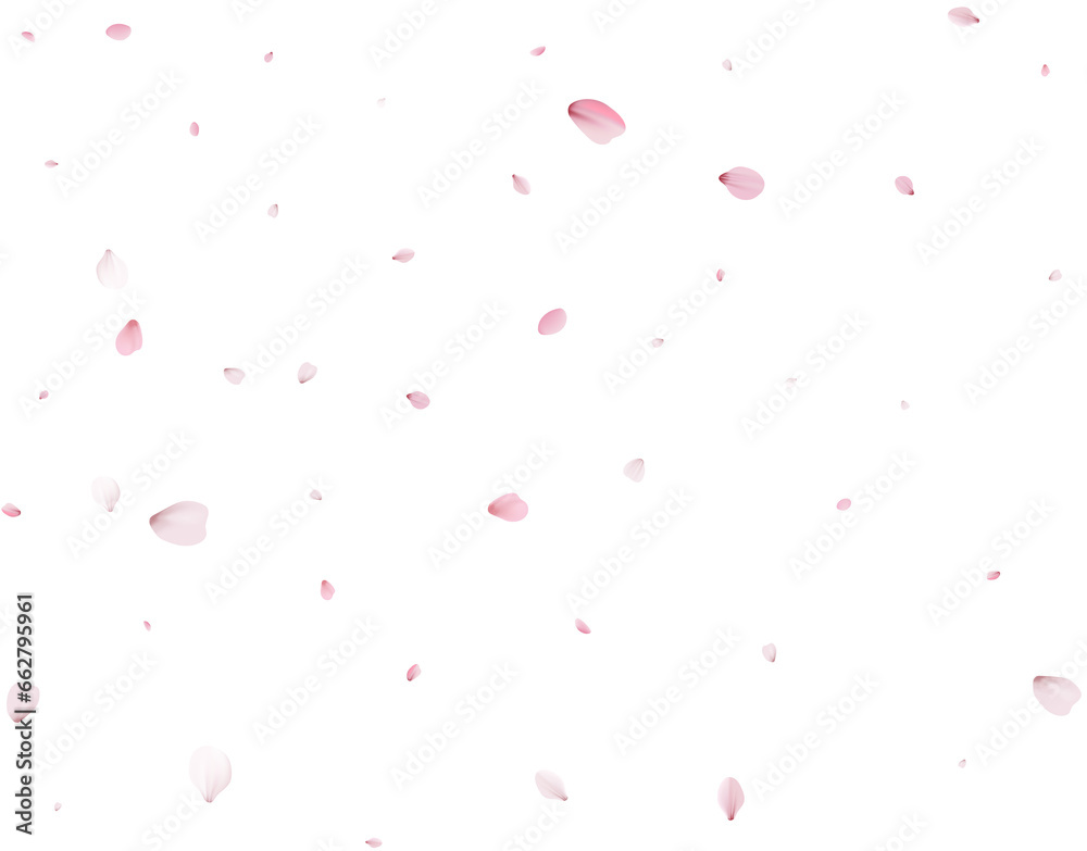 Realistic Cherry Petals