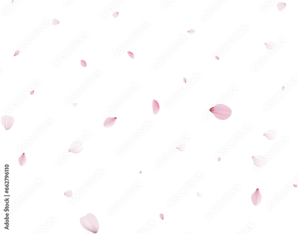 Realistic Sakura Petals. Realistic Sakura Petals.