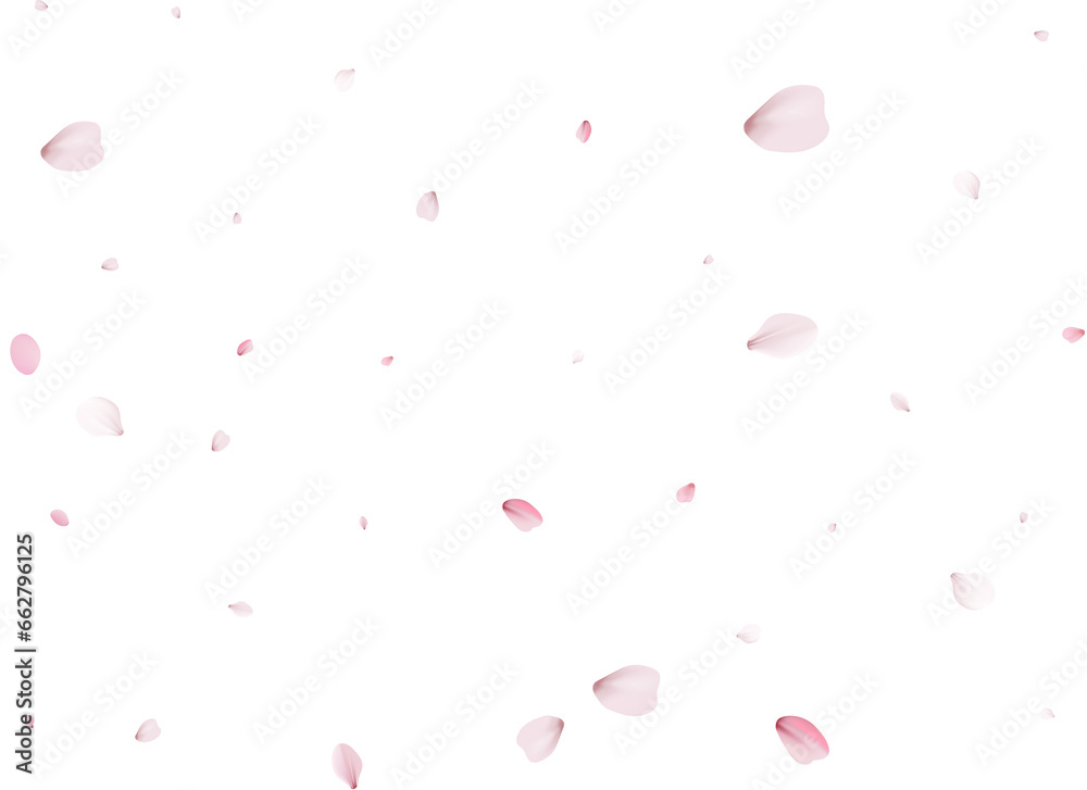 Realistic Sakura Petals. Realistic Sakura Petals.