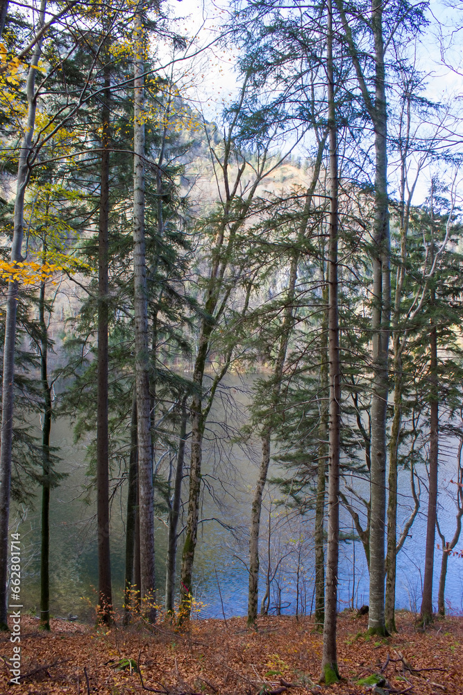 autumn view of lake Laudachsee, Gmunden, Austria autumn view of lake Laudachsee, Gmunden, Austria
