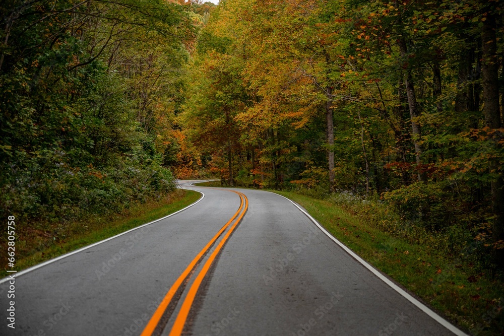 Obraz premium autumn fall trip