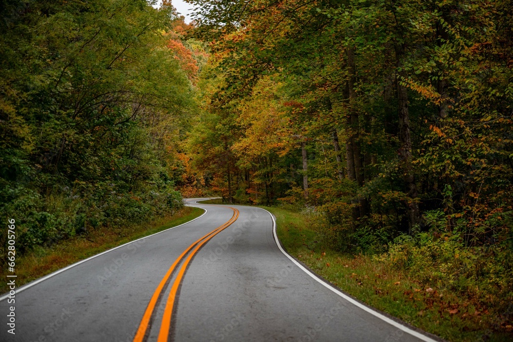 Fototapeta premium autumn fall trip