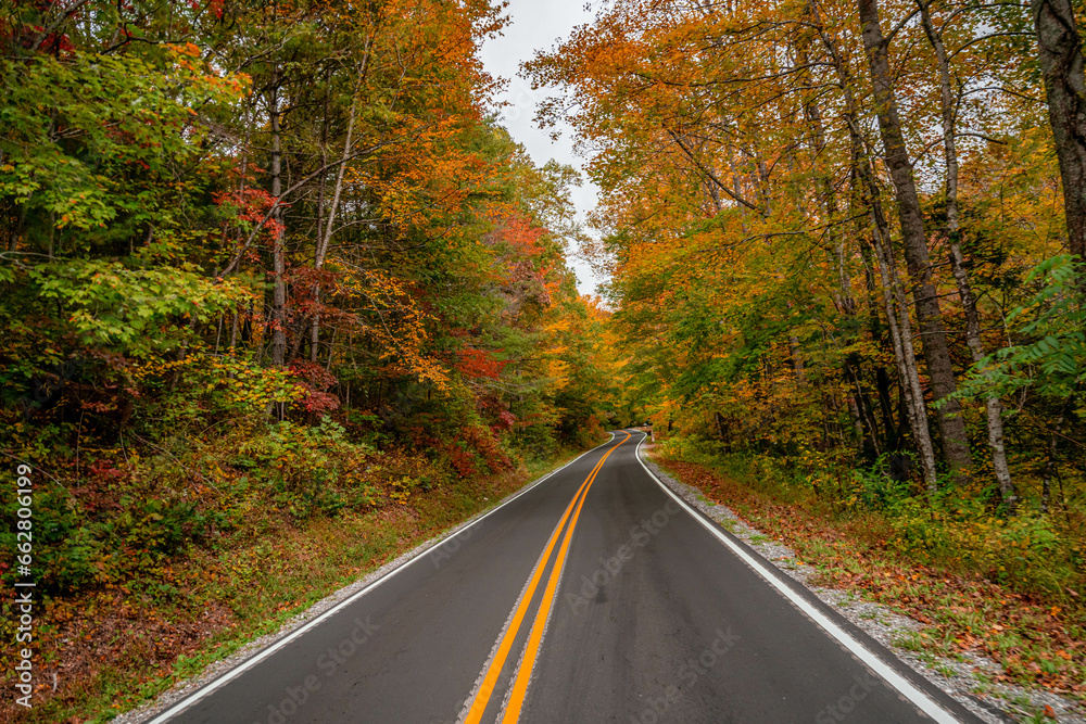 Obraz premium autumn fall trip