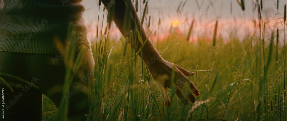 Fototapeta premium Back view of girl touching ears of high grass in wheat field. Woman enjoying sunset in grasslands.