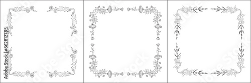 Set of three vector frames with field flowers. Elegant black and white monochrome ornamental corners. Vector frame for all sizes and formats. Isolated vector illustration.