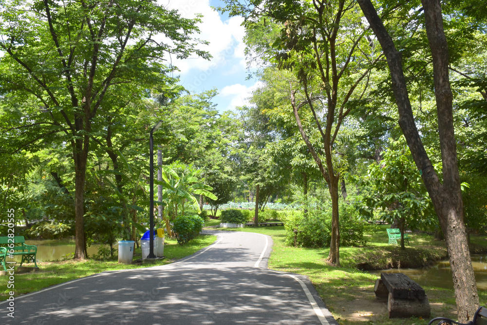 walkway and green trees in garden Bangkok Thailand