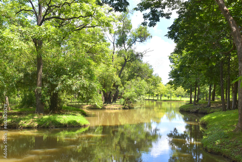 lake and green trees beauty nature in garden in Bangkok Thailand