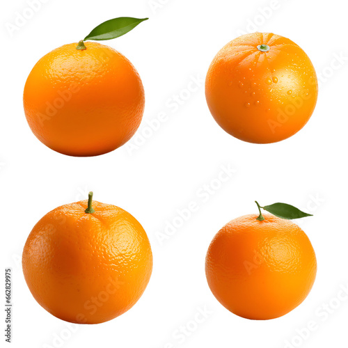 set of oranges isolated