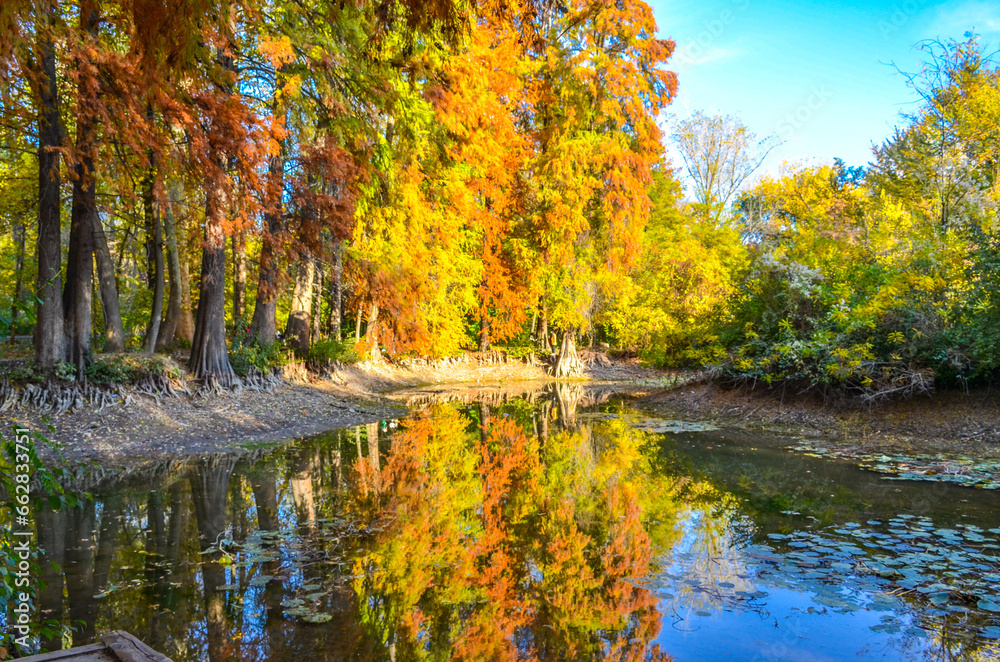 colorful trees and small pond in North American section of Tashkent Botanical Garden during fall season